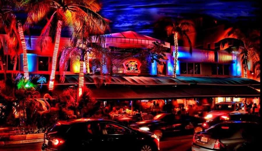 Miami Pub Crawl + Clubbing Experience - Dress code, ID, and what to bring