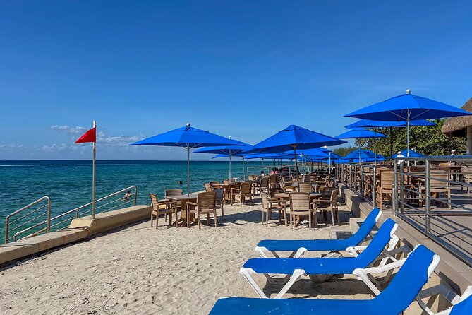 Money Bar Day Pass with Snorkel & Mexican Lunch - What you get for $34.99 at The Money Bar