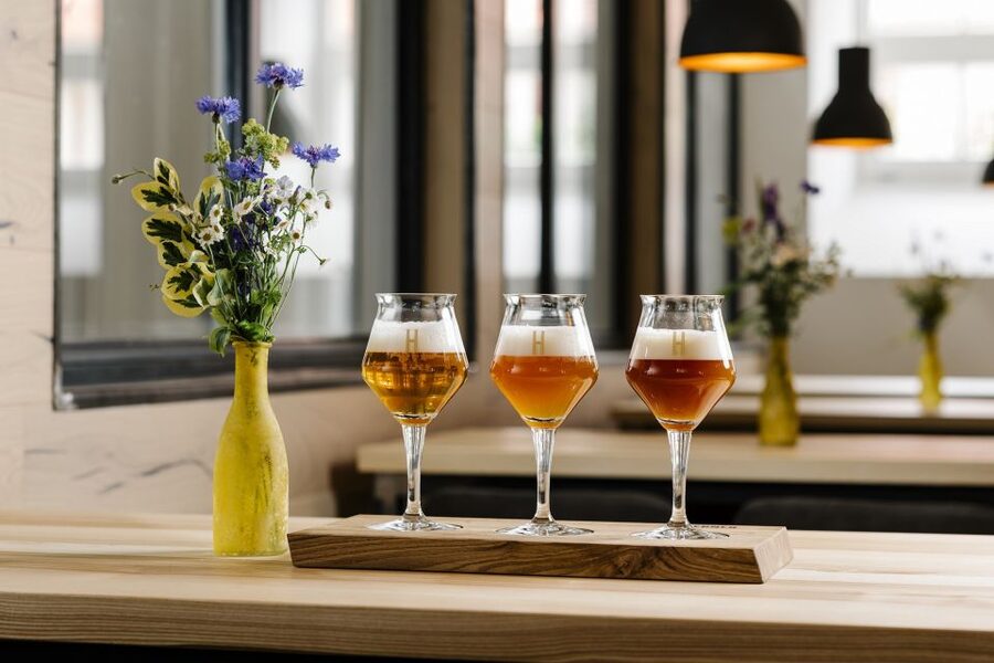 Munich: Hands-On Brewery Tour & Tasting of 4 Organic Beers - From malt and hops to the finished beer