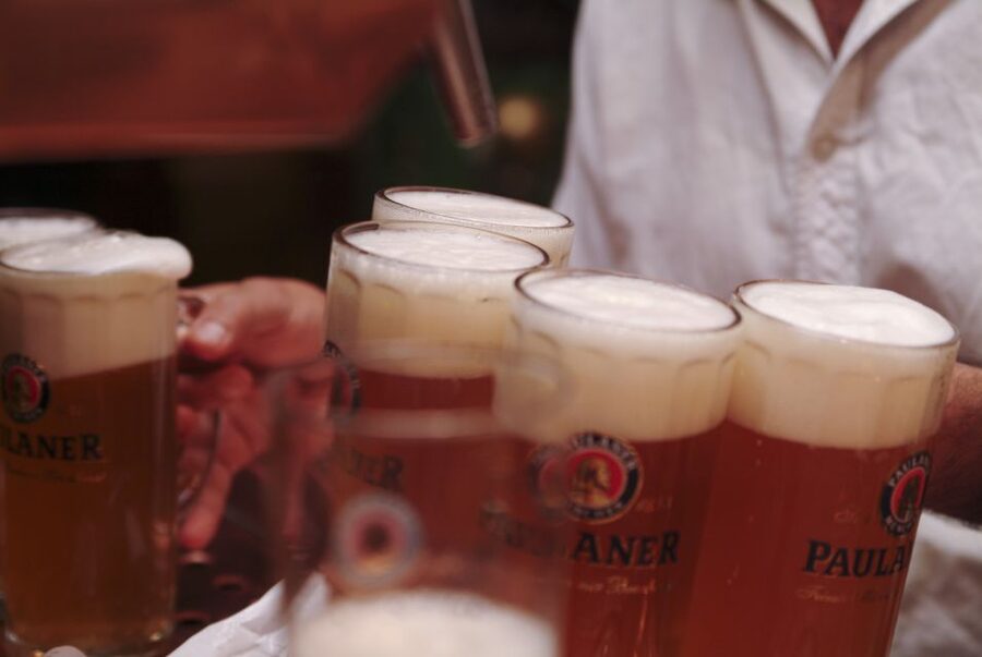Munich's Beer Halls and Breweries: 3-Hour Guided Tour - Who should book this beer tour?