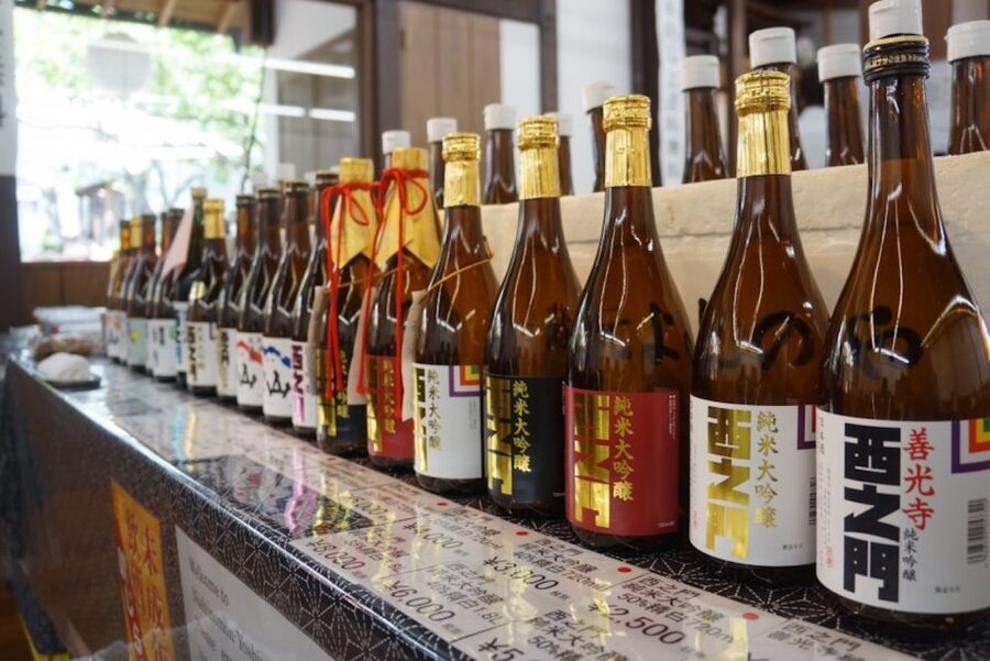Nagano: Snow Monkeys, Zenkoji Temple & Sake Day Trip - The snow monkeys are wonderfully close, but still unpredictable