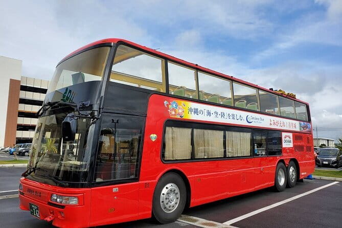 Naha Bar Hopping Tour in Okinawa - Who should book this Naha night out?