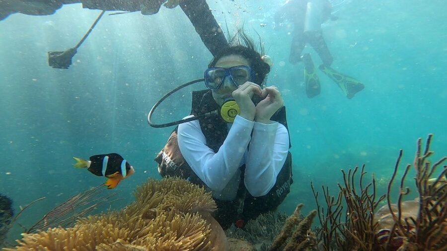 Nha Trang: Coral Reef Snorkeling and Floating Bar Party - The basic idea: a full day on Nha Trang Bay
