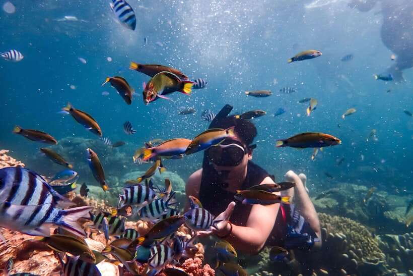 Nha Trang: Coral Reef Snorkeling, Mud Bath & Floating Bar - One hour among coral and colorful fish