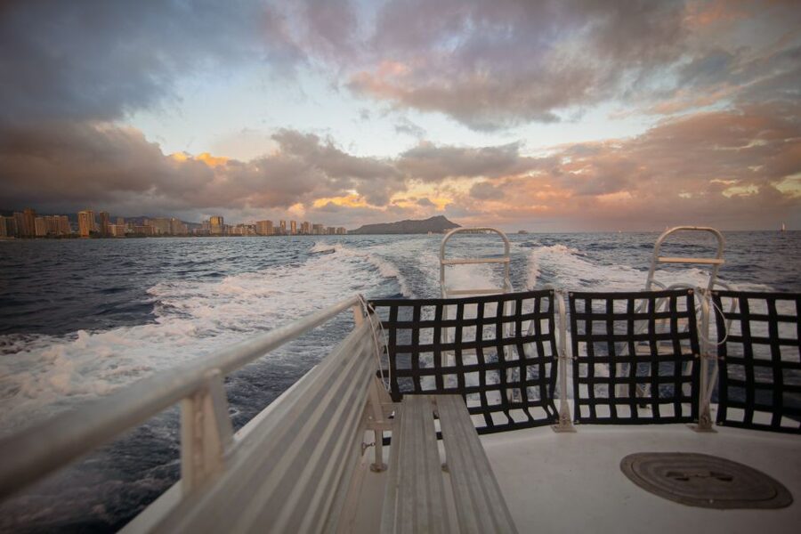 Oahu: BYOB or Cash Bar Waikiki Sunset Cruise - Dolphins, Whales, And The Limits Of Wildlife Sightings