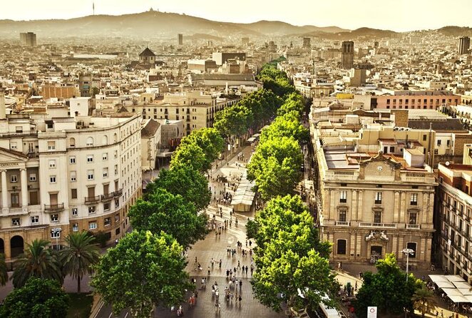 Paella Class & Bottomless Wine: Las Ramblas Views - Key things to know before booking