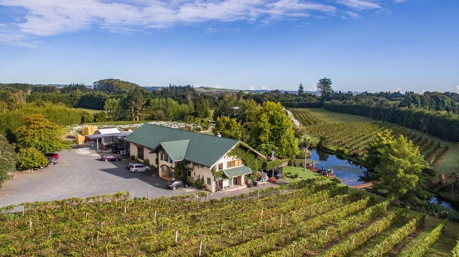 Paihia or Kerikeri: Wine, Spirit, & Craft Beer Tour - Phat House Brewery brings a different flavor