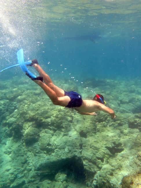 Paphos: Blue Lagoon Cruise-BBQ Lunch, Open Bar, Slide - Key points at a glance