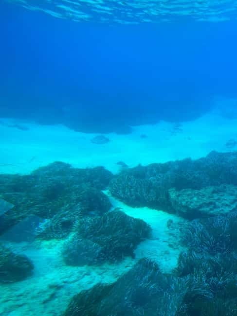 Paphos: Sunset Cruise, Turtle Watching, & Unlimited Drinks - The 20-minute swim stop at Atlantis Beach
