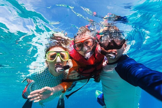 Party Boat Catamaran with Snorkeling from Punta Cana - The dolphin stop is brief and distant