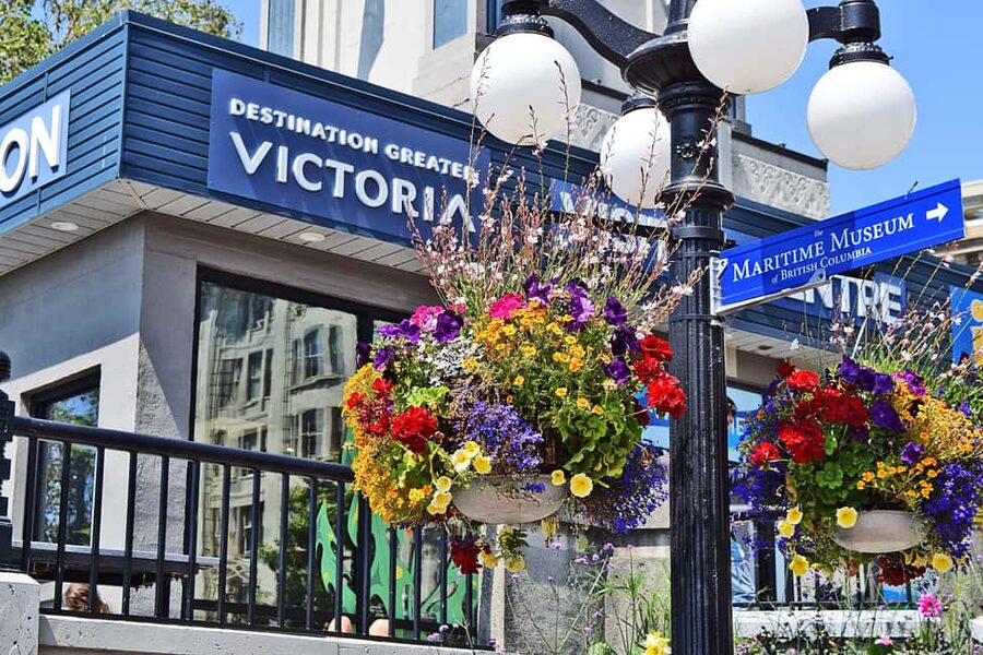 Pickle Pub Crawl: Ferry Rides and Appetizers - Chinatown finishes the route with a downtown feel