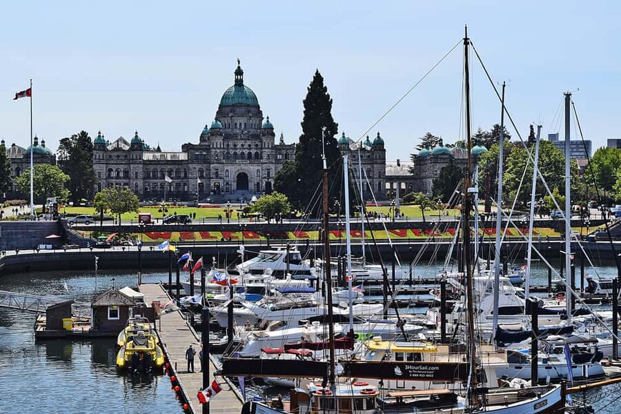 Pickle Pub Crawl: Ferry Rides and Appetizers - The guides make or break the evening