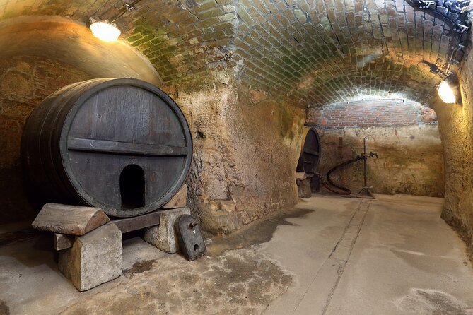 Pilsen: Historic Underground Tour with a Glass of Beer - Passageways, wells, and medieval daily life