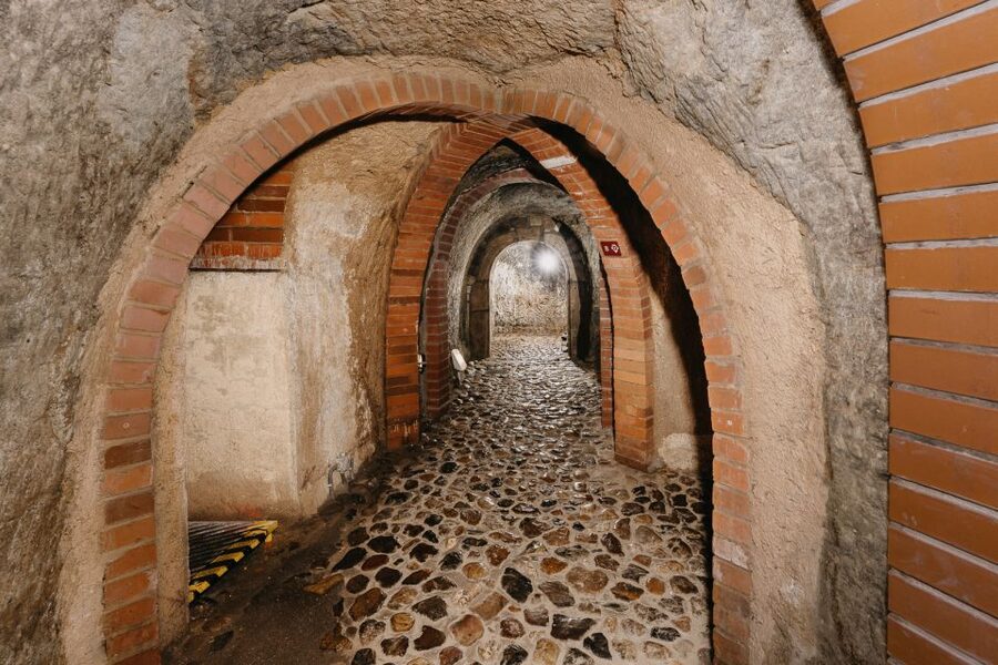 Pilsen: Historic Underground Tour with a Glass of Beer - Who will enjoy this tour most