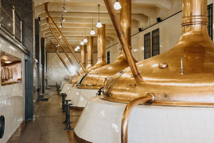 Pilsen: Pilsner Urquell Brewery Tour with Beer Tasting - The historic cellars and the best beer of the tour