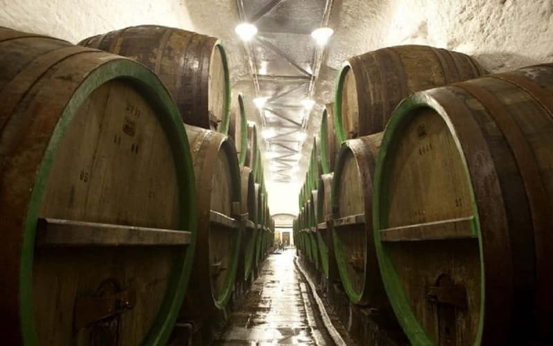 Pilsner Brewery & Nizbor Glass Factory Combination Tour - Lunch at U Salzmannů in Pilsen
