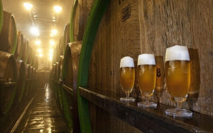 Pilsner Brewery & Nizbor Glass Factory Combination Tour - What the guide and driver can change