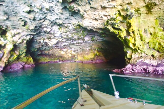 POLIGNANO BY BOAT: amazing sea caves and free drinks! - Is $52.87 a fair price?