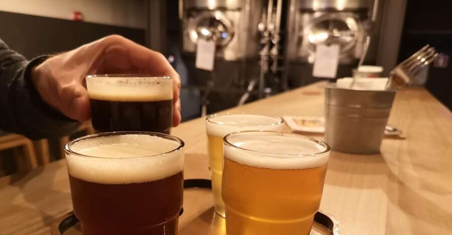 Porto: Craft Beer, Porto Secrets, and Wine Tour - Starting beside the Monumento aos Mortos da Grande Guerra