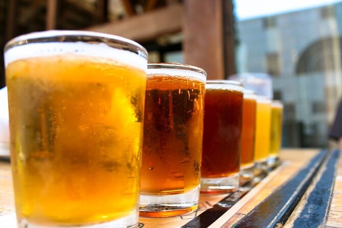 Porto: Craft Beer Tasting Tour with Local Snacks - Who will enjoy this beer tour most