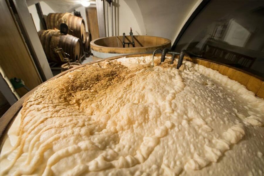 Prague: Beer Tasting and Brewery Tour - Who will enjoy this most?