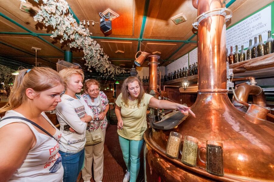 Prague: Brewery Tour with Unlimited Tastings - Stop two: learning how Czech beer is made