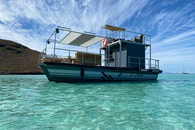 Private Cabo 35ft cat experience Food and open bar included! - The crew is the strongest part
