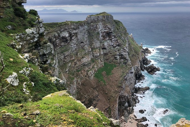 Private Day Tour to Cape Point , Penguins, Wine or Beer Tasting - Why this private Cape Peninsula day works