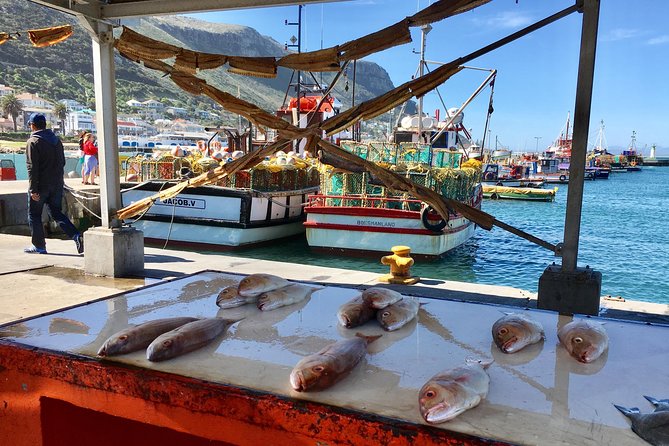 Private Day Tour to Cape Point , Penguins, Wine or Beer Tasting - Long Beach and the ostrich farm
