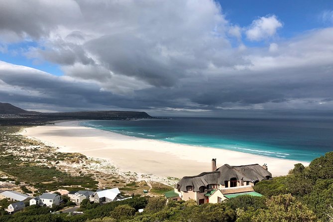 Private Day Tour to Cape Point , Penguins, Wine or Beer Tasting - From Cape Town Stadium to Camps Bay
