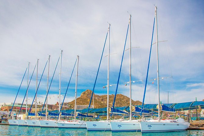 Private Luxury Sailing Cruise in Los Cabos with Lunch and Open Bar - Sailing into the Sea of Cortez