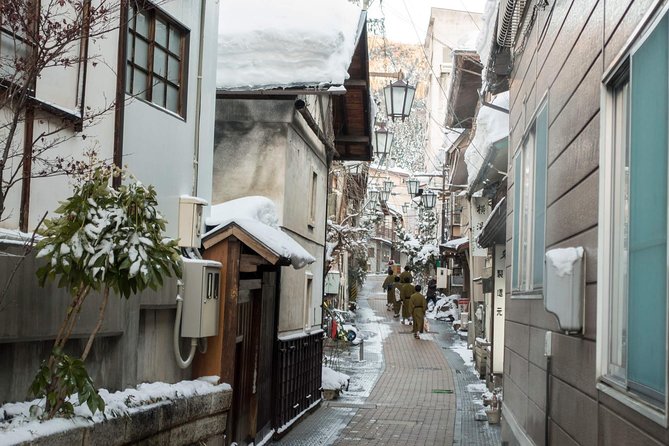 Private Nagano 1-Day Tour:Snow Monkeys,Zenko-ji,Obuse,Sake,Onsen - Meeting the Japanese macaques at Jigokudani