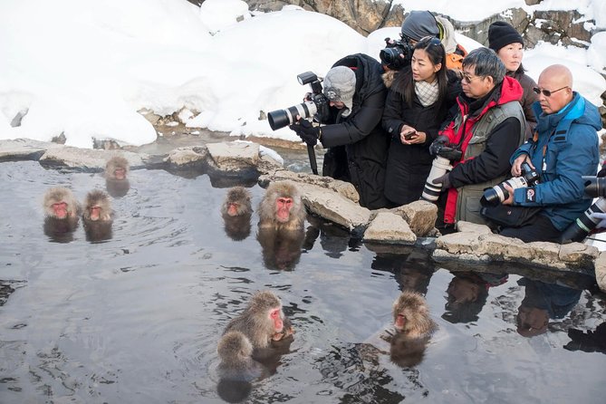 Private Nagano 1-Day Tour:Snow Monkeys,Zenko-ji,Obuse,Sake,Onsen - Obuse, local food, and a slower afternoon