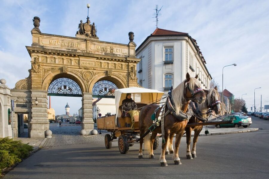 Private Pilsen & Pilsner Urquell Brewery Tour Prague - Walking through Pilsen after the brewery