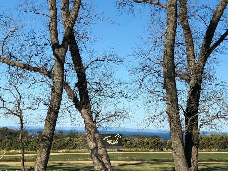 Private Tour: Mornington Peninsula Wine, Beer & Hotsprings - The morning drive from Melbourne