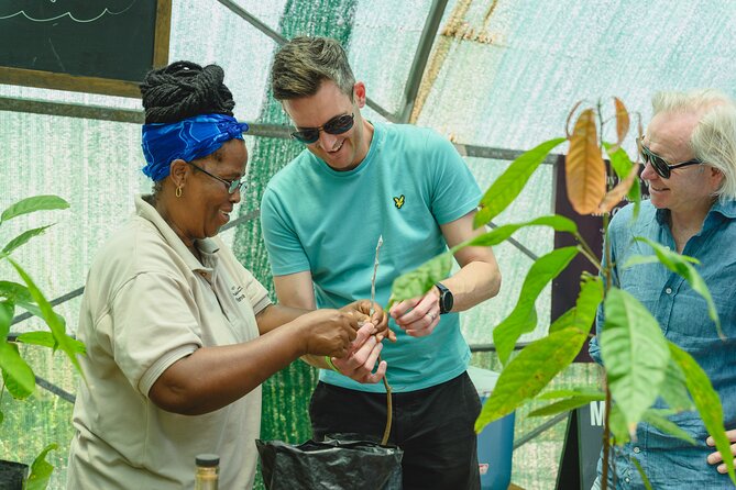 Project Chocolat Tree to Bar Tour at Hotel Chocolat Saint Lucia - Who will enjoy this St Lucia outing