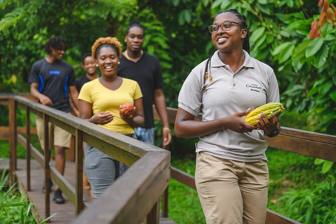 Project Chocolat Tree to Bar Tour at Hotel Chocolat Saint Lucia - Staff, pacing, and small comforts