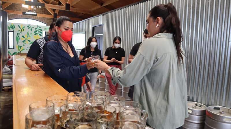 Puebla: Cholula Craft Beer Tour by Tram - Who should book this experience?