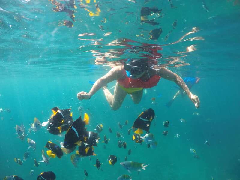 Puerto Vallarta: Luxury Yacht Tour with Lunch and Open Bar - What the yacht adds to a half-day cruise