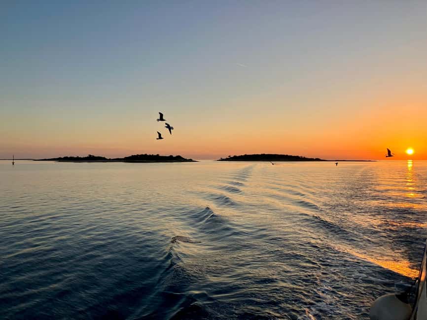 Pula: Brijuni National Park Sunset Cruise with Open Bar - Setting out from Pula for a three-hour evening