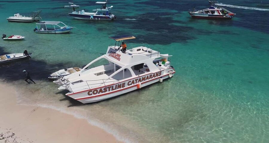 Punta Cana: Catamaran Tour with Reef Snorkeling and Open Bar - What the catamaran is like onboard