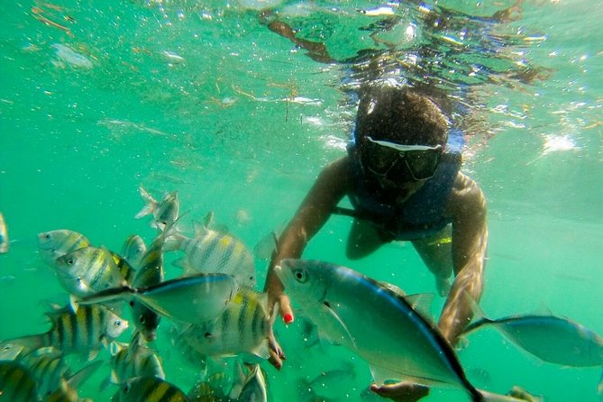 Punta Cana Party Boat Snorkeling with Music DJ and Open Bar - What this Punta Cana boat trip is really like