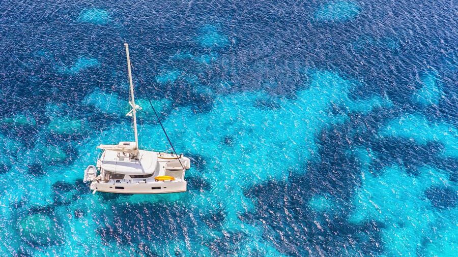 Punta Cana: Saona Island Catamaran Tour with Food & Open Bar - Buffet Lunch With Dominican Flavors