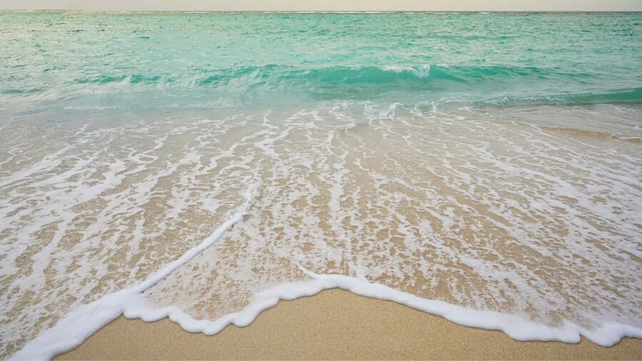 Punta Cana: Saona Island Catamaran Tour with Food & Open Bar - Who Will Enjoy This Most?