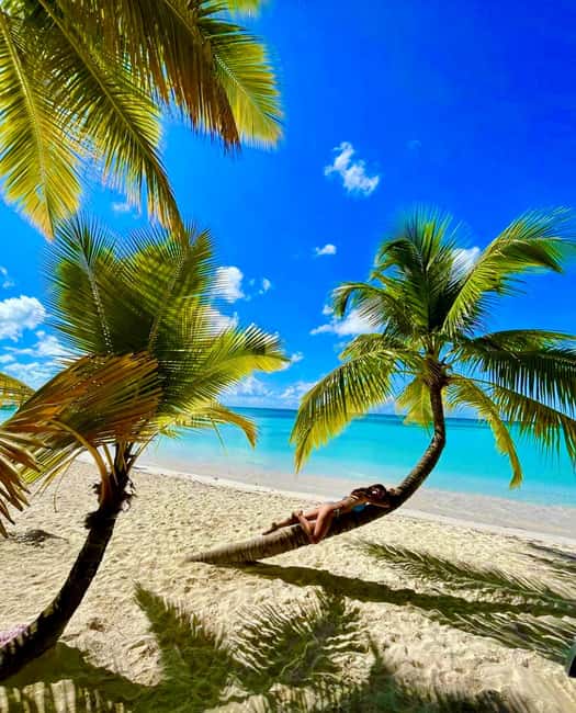 Punta Cana: Saona Island VIP | Private Beach, Open Bar & Lunch - Key points before you book