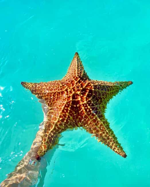 Punta Cana: Saona Island VIP | Private Beach, Open Bar & Lunch - The catamaran ride sets the mood