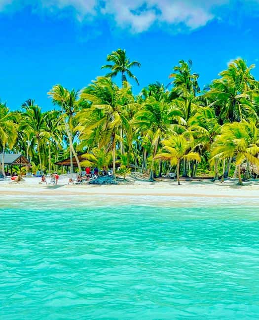 Punta Cana: Saona Island VIP | Private Beach, Open Bar & Lunch - Saona Island and the private beach promise