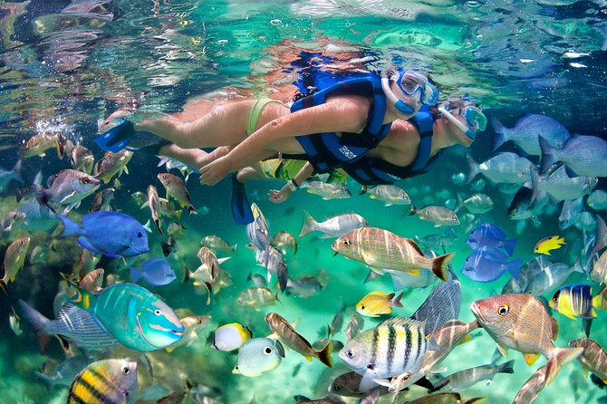 Punta Cana Snorkeling Party Cruise - The natural pool party and the main social stop