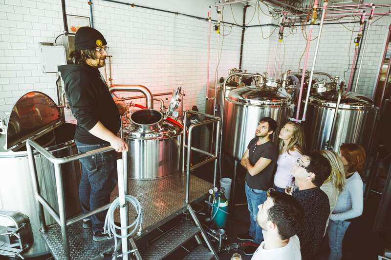 Quebec City: Craft Brewery and Beer Tasting Tour - Noctem Artisans Brasseurs starts with cats and creative beer