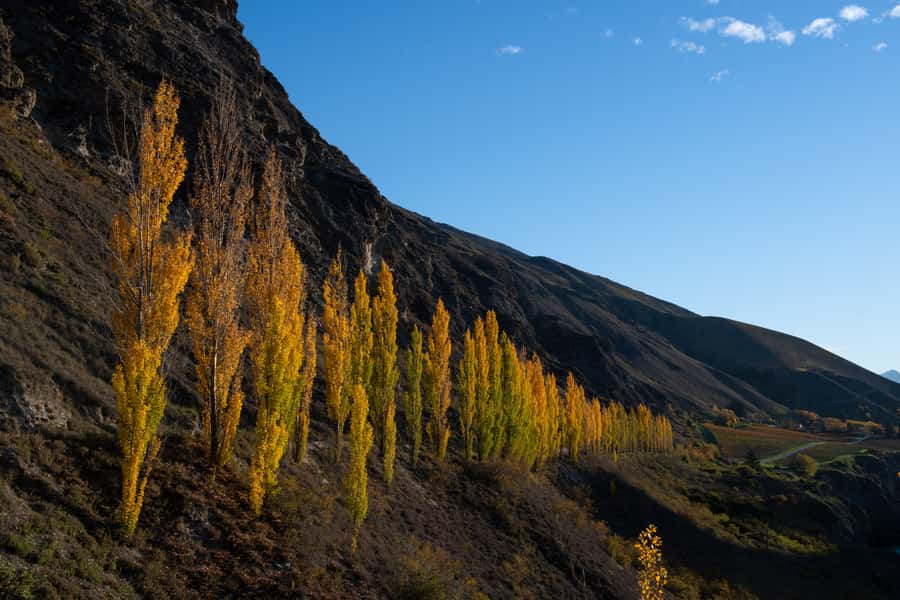 Queenstown: Craft Beer Brewery Tour with Lunch - What the $110 price really includes
